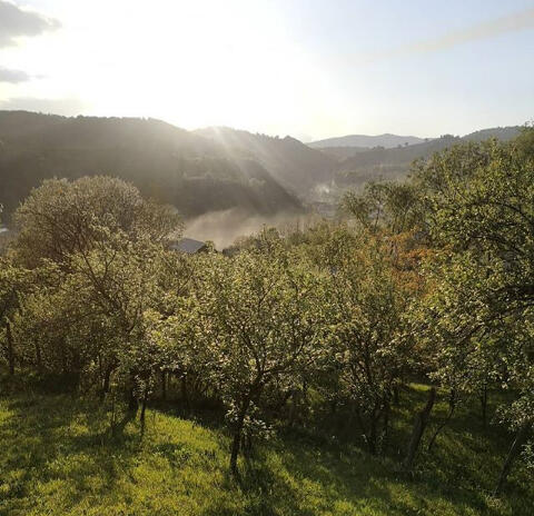 Priveliște din Cerașu